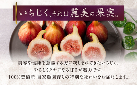 完熟いちじく 12玉 国産 いちじく