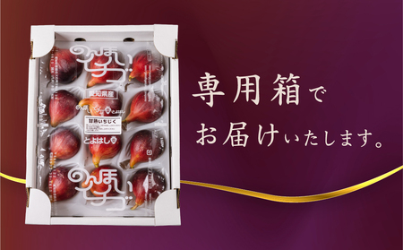 完熟いちじく 12玉 国産 いちじく