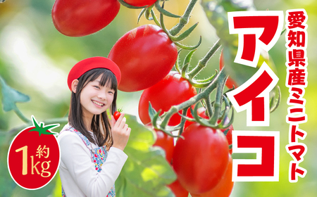 ≪先行予約≫ミニトマト アイコ 約1kg トマト