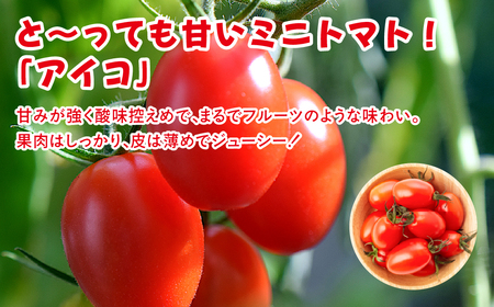 ≪先行予約≫ミニトマト アイコ 約1kg トマト