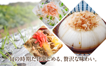 新玉ねぎ 大玉 訳あり 5kg（小傷・変形）