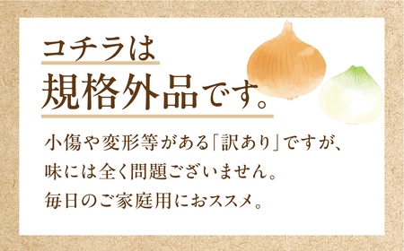新玉ねぎ 大玉 訳あり 5kg（小傷・変形）