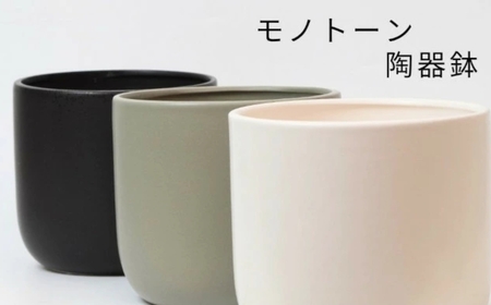 【黒】ガジュマル モノトーン130 陶器鉢 1鉢 水位計セット