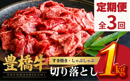 豊橋牛 定期便 3回 毎月お届け 1kg 牛肉｜ 定期便