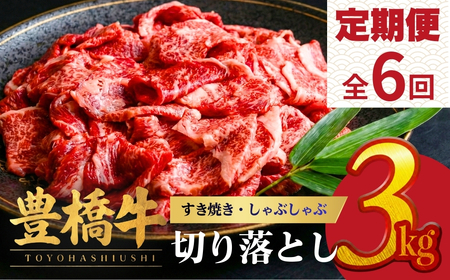 豊橋牛 定期便 6回 毎月お届け 3kg 牛肉｜ 定期便