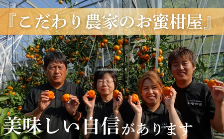 極甘！みかん丸 1.5kg みかん