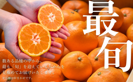 極甘！みかん丸 1.5kg みかん