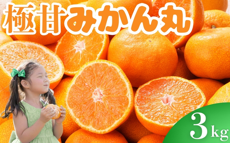 極甘！みかん丸 3kg みかん