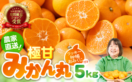 極甘！みかん丸 5kg箱 みかん