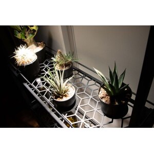 Metal Grow プラントラック-780-　植物棚【1513478】