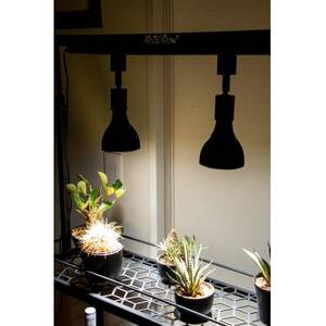 Metal Grow プラントラック-780-　植物棚【1513478】