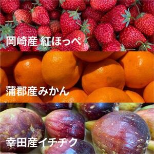 三河果実の葵ジャム140g3種セット【配送不可地域：離島】【1575502】