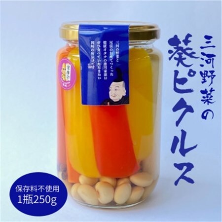 三河野菜の葵ピクルス「あいちの家康酢漬」250g【配送不可地域：離島】【1575504】 11,680円