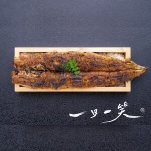 愛知県産大うなぎ蒲焼660g【配送不可地域：離島】【1578574】