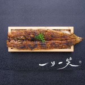 愛知県産大うなぎ紅白蒲焼660g【配送不可地域：離島】【1579405】