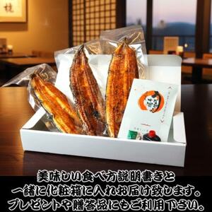 炭火手焼き☆三河一色産うなぎ蒲焼　3尾　うなぎ十楽【配送不可地域：離島】【1581892】