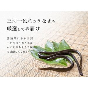 炭火手焼き☆三河一色産うなぎ蒲焼　6尾　うなぎ十楽【配送不可地域：離島】【1585251】