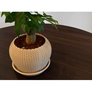 植木鉢「POT-3」【1607809】