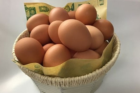 「地元ブランド」テツマEMたまご 濃厚な味わいたまご 40個入り【配送不可地域:離島】【1200616】