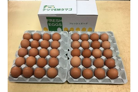 「地元ブランド」テツマEMたまご 濃厚な味わいたまご 40個入り【配送不可地域:離島】【1200616】