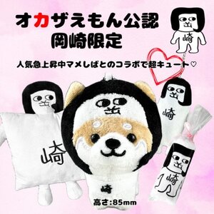 オカザえもん公認ファンファンセット【1619794】