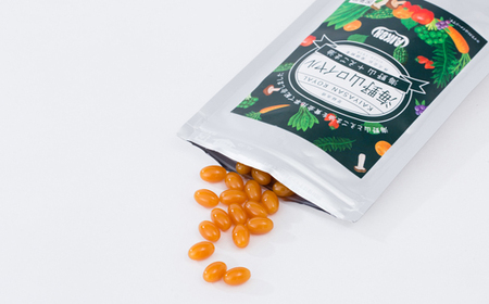 〈健康食品・酵素サプリメント〉海野山ロイヤル1袋(60粒入り)【1248650】