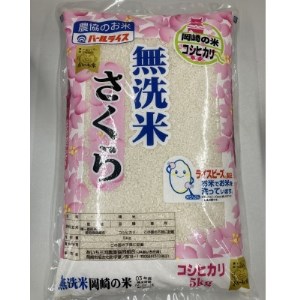 無洗米　さくら(コシヒカリ)5kg【1318134】