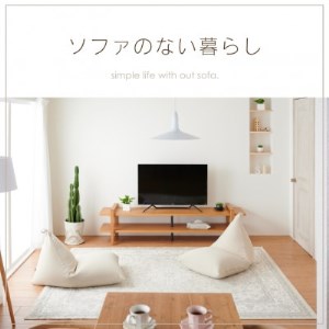 ハナロロのビーズクッション メガポトラ240リットル ニットカバー付(ダズバイオレット)【1349684】