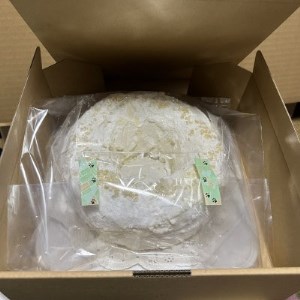 フランクフルタークランツ　6号　約18センチ【配送不可地域：離島】【1392839】