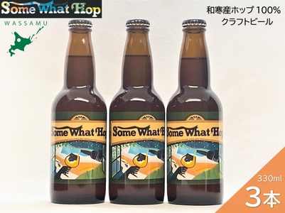 【ふるさと納税】（予約返礼品）わっさむクラフトビール（Some What Hop）3本