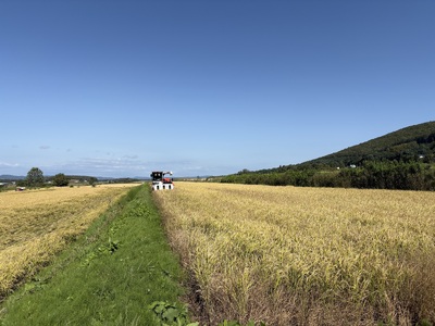 【ふるさと納税】わっさむのおこめ「ななつぼし」5kg