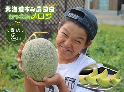 【ふるさと納税】≪令和5年産≫わっさむ産メロン(青肉2玉)【7~8月お届け】