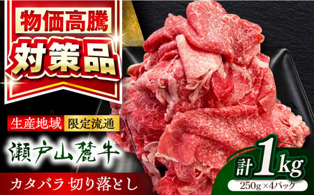瀬戸山麓牛 カタバラ切り落とし 1kg（250g×4P）/ 牛肉 国産 冷凍 小分け / 瀬戸市 / 関屋精肉店 [BBBQ025]