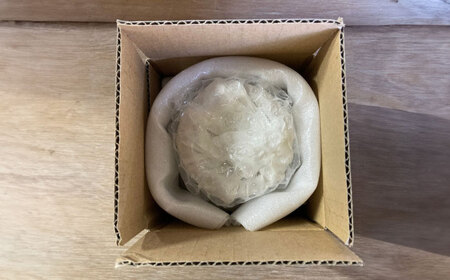 【瀬戸焼】酸化志野釉かけ分け柄　香炉【生宝陶苑】/ お香 アロマ ナチュラル インテリア [BBBW008]