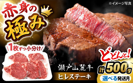 希少部位 瀬戸山麓牛 ヒレステーキ 500g(100g×5) / 牛肉 ヒレ ステーキ / 瀬戸市 /合資会社関屋精肉店[BBBQ057]
