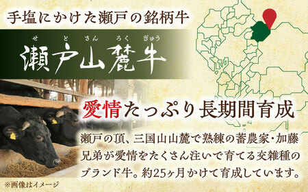 【全6回定期便】瀬戸山麓牛豚 切落しセット 計1.8kg（牛切落し600g、豚切落し1.2kg）/ 牛肉 豚肉 小分け 冷凍 / 瀬戸市 / 関屋精肉店[BBBQ059]