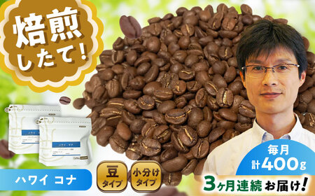 【全3回定期便】ハワイ・コナ　コーヒー豆　200g×2個(豆)  / コーヒー  ドリップ  豆 / Coffee SAKURA[BBAB027]