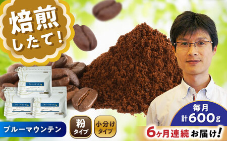 【全6回定期便】ブルーマウンテンNo.1　コーヒー粉　200g×3個(粉/中挽き)  / コーヒー  ドリップ  粉 / Coffee SAKURA[BBAB092]