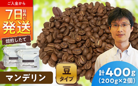 マンデリンコーヒー(豆)　リントン　200g×2 / 珈琲 コーヒー マンデリン / Coffee SAKURA[BBAB138]