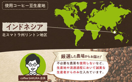 マンデリンコーヒー(粉)　リントン　200g×2 / 珈琲 コーヒー マンデリン / Coffee SAKURA[BBAB139]