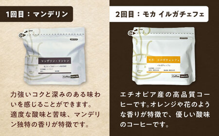 【ふるなびWEEK対象】【全6回定期便】世界のコーヒー豆 満足便(豆) / 珈琲 コーヒー / Coffee SAKURA[BBAB152] FN-Limited-WE