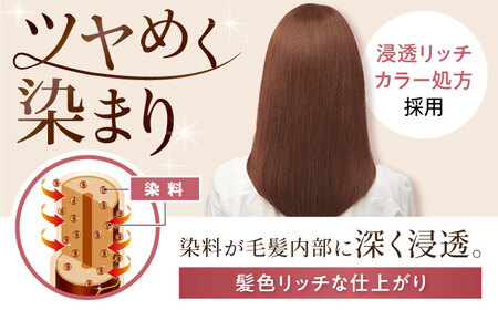 シエロ ヘアカラークリーム ピュアブラウン 3個 / CIELO 白髪染め セルフカラー ヘアカラー / 瀬戸市 / ホーユー株式会社 [BBEL004]