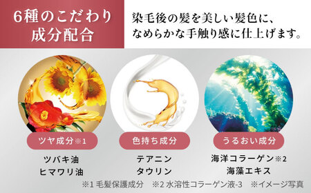 シエロ ヘアカラークリーム ピュアブラウン 3個 / CIELO 白髪染め セルフカラー ヘアカラー / 瀬戸市 / ホーユー株式会社 [BBEL004]