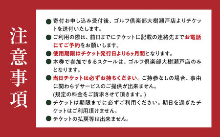ゴルフ レッスンチケット 4枚綴り[BBEC005]ゴルフ レッスン ゴルフ倶楽部大樹 瀬戸店