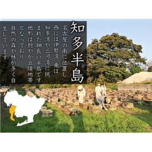 竹内養蜂のはちみつたっぷり生どら10個入【配送不可地域：離島】【1303179】