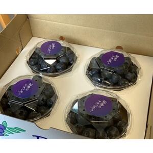 大粒・完熟ブルーベリー【知多のアメジスト】100g×4パック※2026年5月上旬より順次発送※【配送不可地域：離島】【1387286】