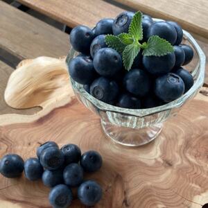 大粒・完熟ブルーベリー【知多のアメジスト】100g×4パック※2026年5月上旬より順次発送※【配送不可地域：離島】【1387286】