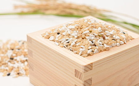 プレムアムこんにゃく米【志宝】【1418167】