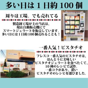ブロンテ産ピスタチオ＆ベルギーチョコジェラート8個セット【配送不可地域：離島】【1460820】