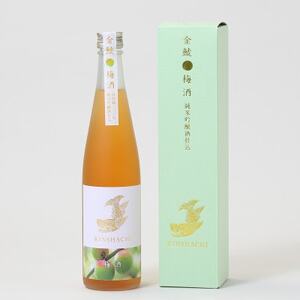 【金鯱】純米吟醸仕込みの梅酒(500ml×2本)【1485677】